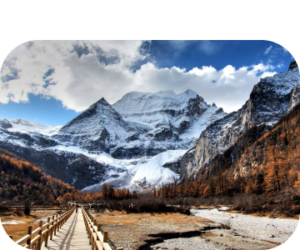 Liberty Suites Hotel photo 2