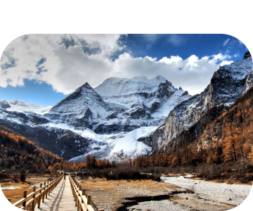 Liberty Suites Hotel photo 3